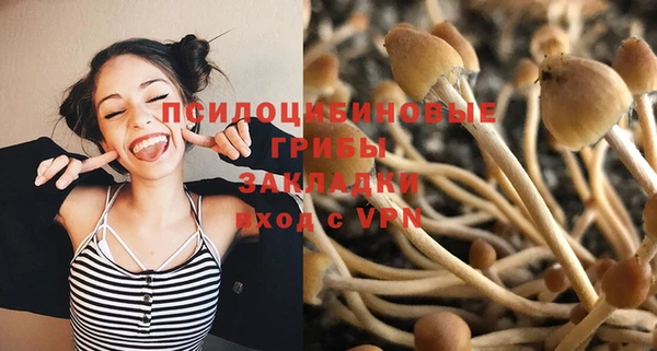 МДПВ Алзамай