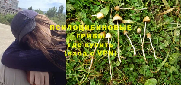 не бодяженный Алексин