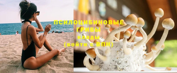 PSILOCYBIN Абаза