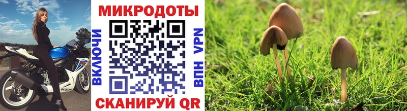 Галлюциногенные грибы Cubensis  Тамбов 