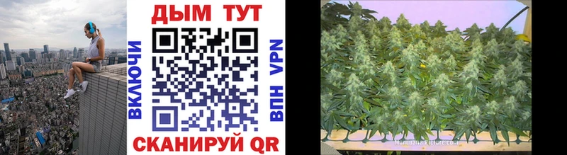 Марихуана LSD WEED  Тамбов 